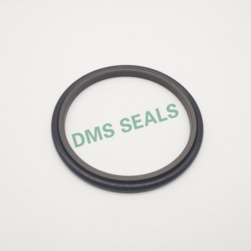 DMS Seal Manufacturer-GSI - PTFE Hydraulic Rod Seal with NBRFKM O-Ring-2