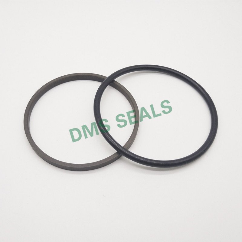 Gsi - Ptfe Hydraulic Rod Seal With Nbr/fkm O-ring | Dms...
