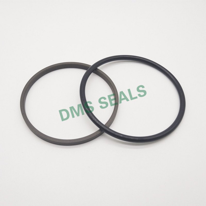 GSI - PTFE Hydraulic Rod Seal with NBR/FKM O-Ring