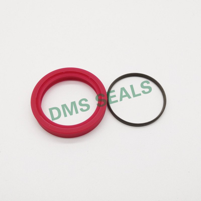 DMS Seal Manufacturer TDI - PTFE Hydraulic Rod Seal with NBR/FKM O-Ring Rod Seals image10