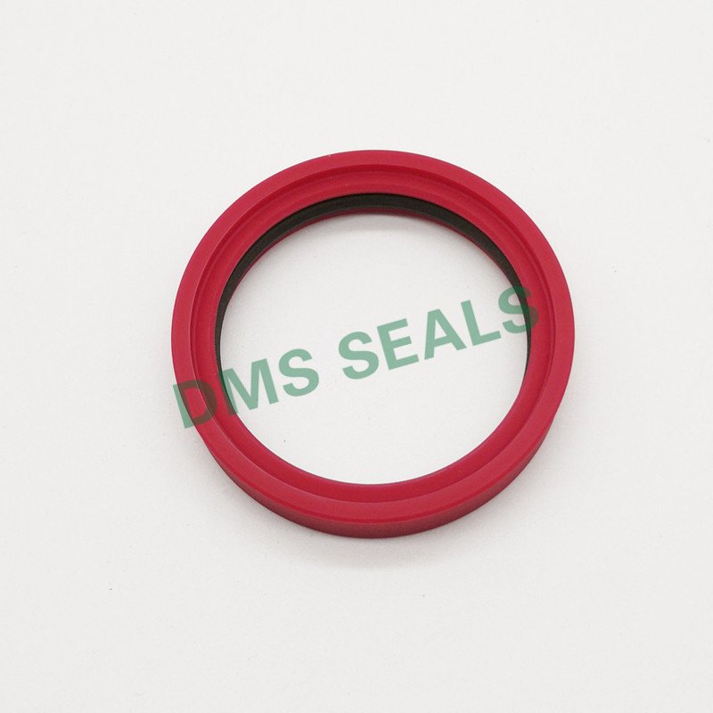 DMS Seal Manufacturer TDI - PTFE Hydraulic Rod Seal with NBR/FKM O-Ring Rod Seals image10