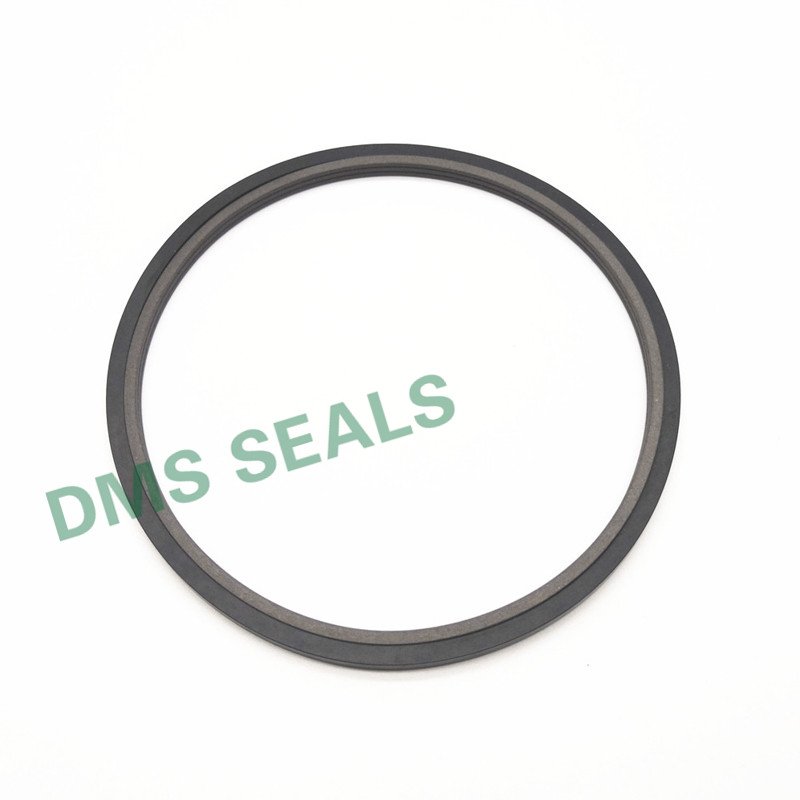 DMS Seal Manufacturer SPN - PTFE Hydraulic Rod Seal with NBR/FKM O-Ring Rod Seals image9