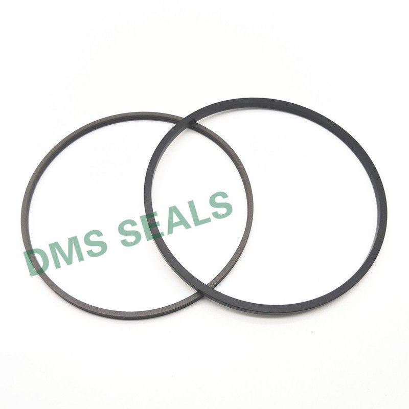 SPN - PTFE Hydraulic  push Rod Seal with NBR/FKM O-Ring