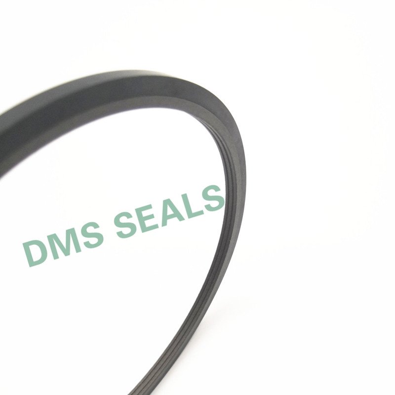 SPN - PTFE Hydraulic  push Rod Seal with NBR/FKM O-Ring