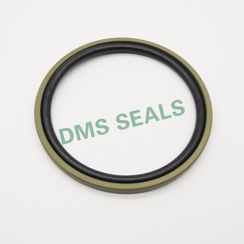 DMS Seal Manufacturer GSF - PTFE Hydraulic Piston Seal with NBR/FKM O-Ring Piston Seals image19