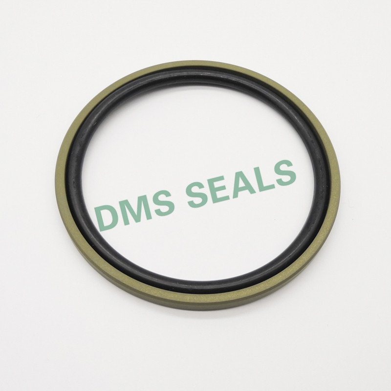 DMS Seal Manufacturer Array image166