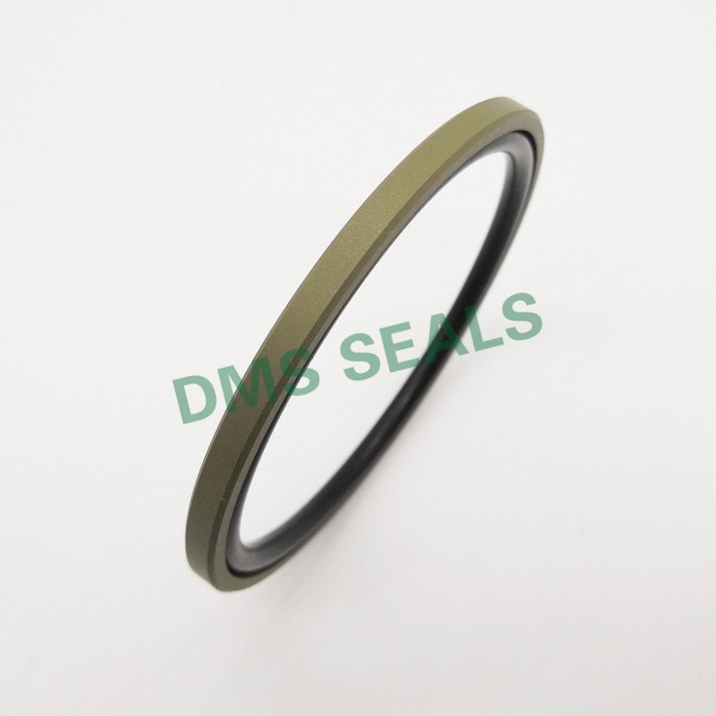 DMS Seal Manufacturer GSF - PTFE Hydraulic Piston Seal with NBR/FKM O-Ring Piston Seals image19