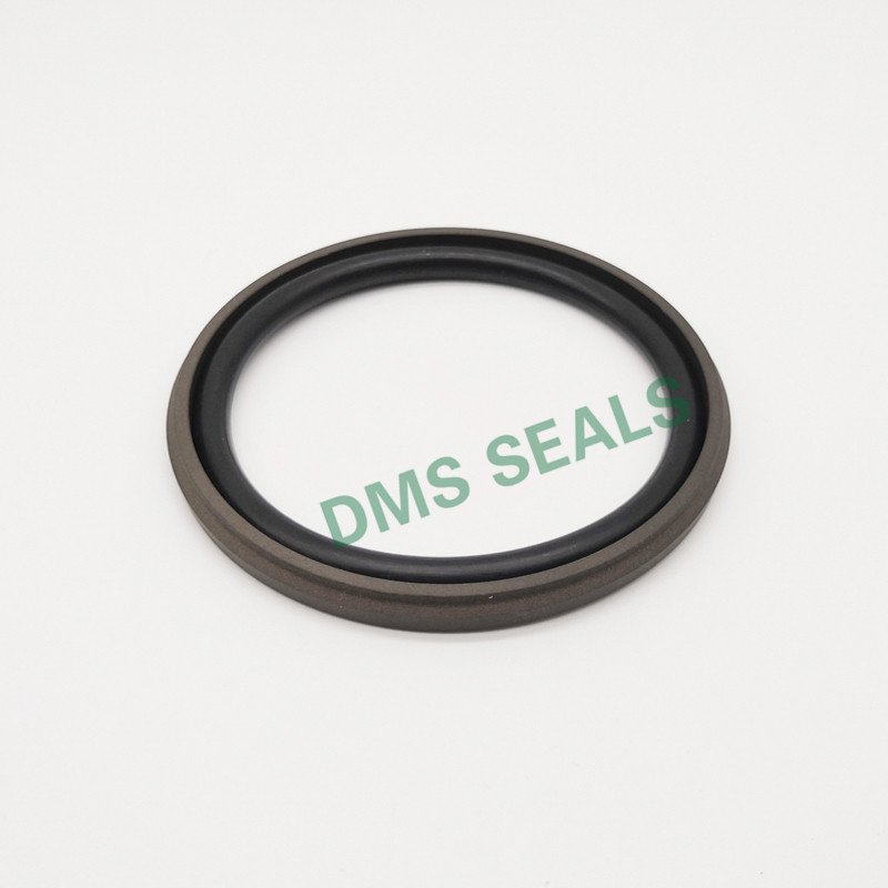 DMS Seal Manufacturer GSD - PTFE Hydraulic Piston Seal with NBR/FKM O-Ring Piston Seals image18