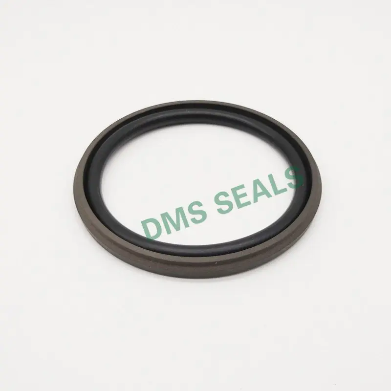 GSD - PTFE Hydraulic  pneumatic Piston Seal with NBR/FKM O-Ring