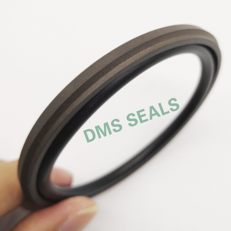 DMS Seal Manufacturer GSD - PTFE Hydraulic Piston Seal with NBR/FKM O-Ring Piston Seals image18