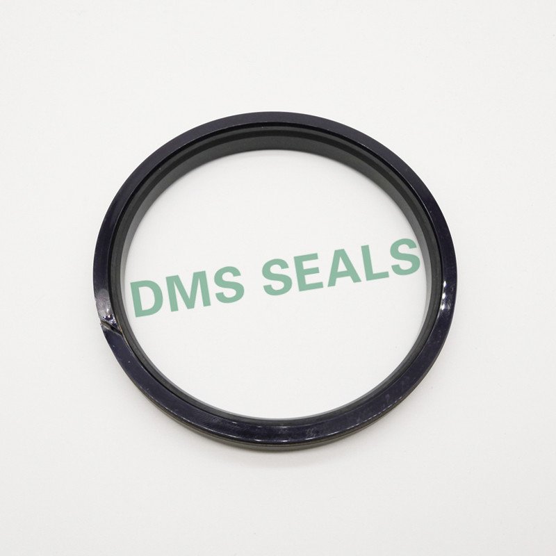 DMS Seal Manufacturer SPGW - PTFE Hydraulic Piston Seal with NBR/FKM O-Ring Piston Seals image17