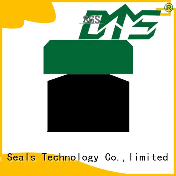 DMS Seal Manufacturer o-ring seal Supply for light and medium hydraulic systems