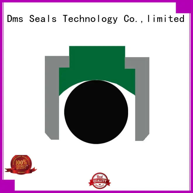 DMS Seal Manufacturer piston seals with nbr or fkm o ring for light and medium hydraulic systems