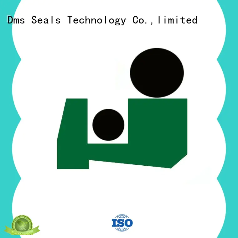 DMS Seal Manufacturer wiper seals with different characteristics for injection molding machines