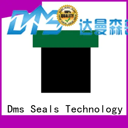 pneumatic piston seals hydraulic oring piston DMS Seal Manufacturer Brand company