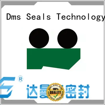oring ptfe scraper seals nbrfkm DMS Seal Manufacturer