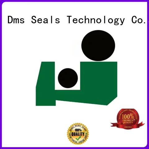 scraper Custom ptfepu hydraulic scraper seals DMS Seal Manufacturer oring