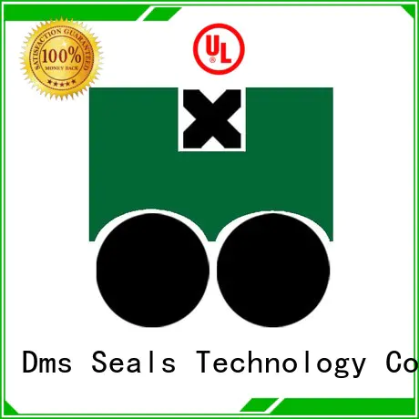 piston oring seal piston seals nbrfkm DMS Seal Manufacturer