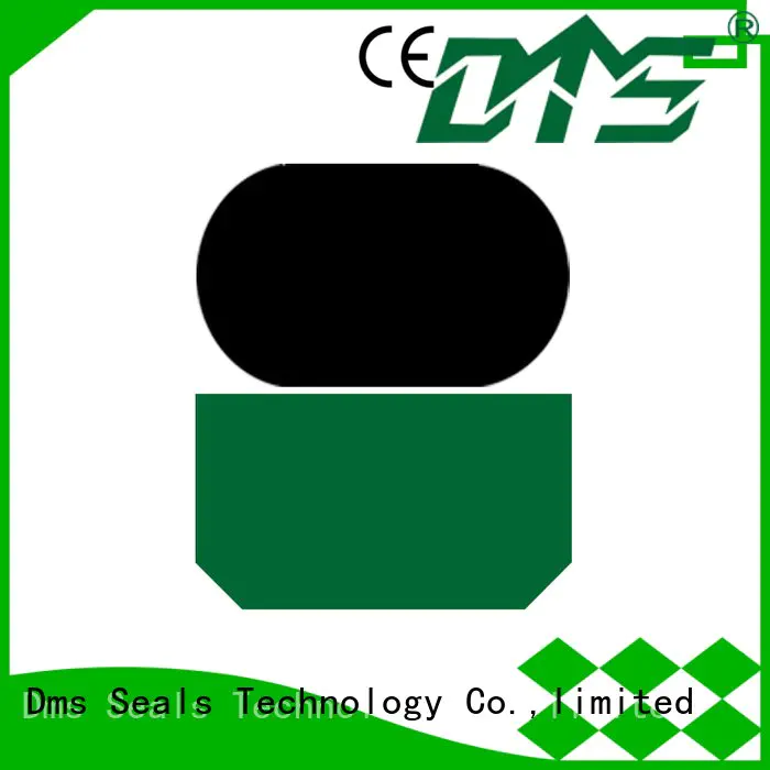 hydraulic rod seals hydraulic nbrfkm rod DMS Seal Manufacturer