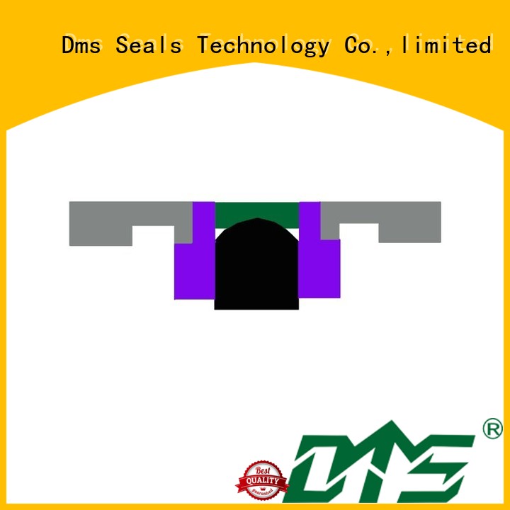 piston seal hydraulic OEM piston seals DMS Seal Manufacturer