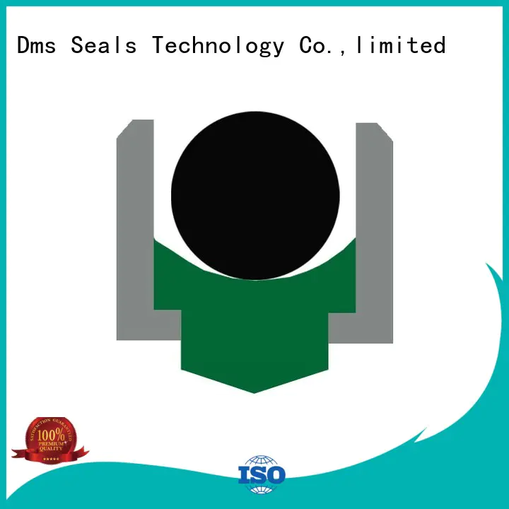 Custom hydraulic rotary seals ptfe DMS Seal Manufacturer