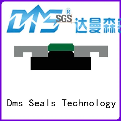 hydraulic ptfe Hot pneumatic piston seals seal DMS Seal Manufacturer Brand