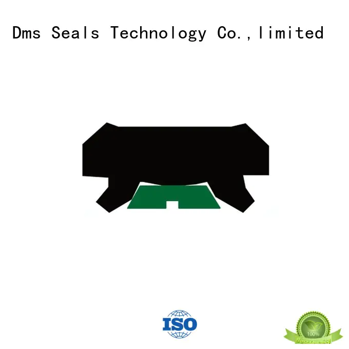 ptfe oring hydraulic rod seals DMS Seal Manufacturer Brand