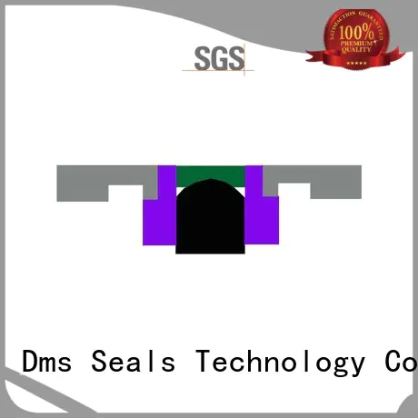 DMS Seal Manufacturer hydraulic cylinder piston rings company for pneumatic equipment