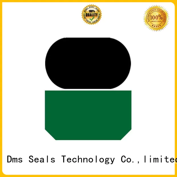 seal nbrfkm ptfe rod seals rod DMS Seal Manufacturer