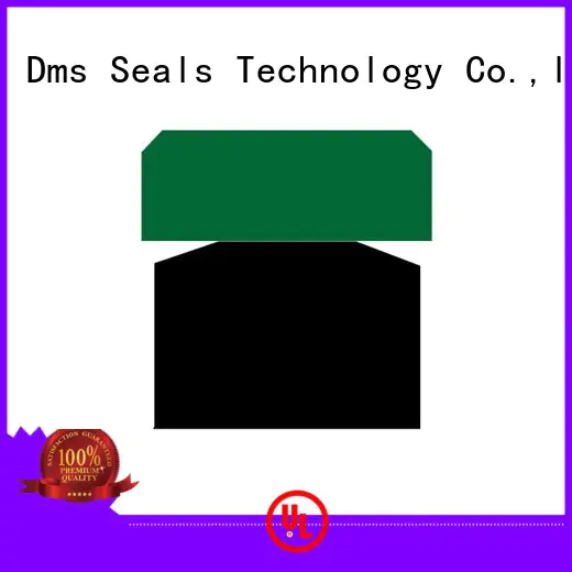 Hot piston seals piston DMS Seal Manufacturer Brand