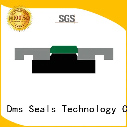 oring pneumatic piston seals seal DMS Seal Manufacturer company
