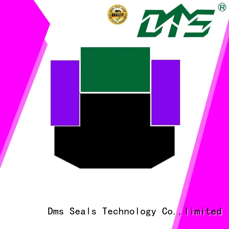 DMS Seal Manufacturer Brand piston seal hydraulic piston seals manufacture