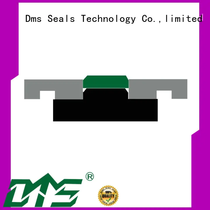 Hot ptfe pneumatic piston seals nbrfkm DMS Seal Manufacturer Brand