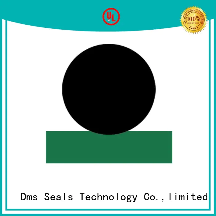 DMS Seal Manufacturer Top piston rod seals hydraulic with nbr or fkm o ring to high and low speed