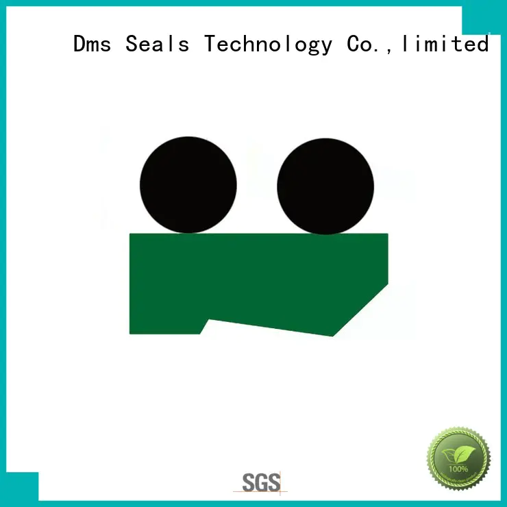 ptfepu seal hydraulic wiper seals hydraulic DMS Seal Manufacturer company