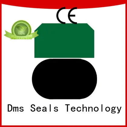 dpt piston seals glyd ring for light and medium hydraulic systems