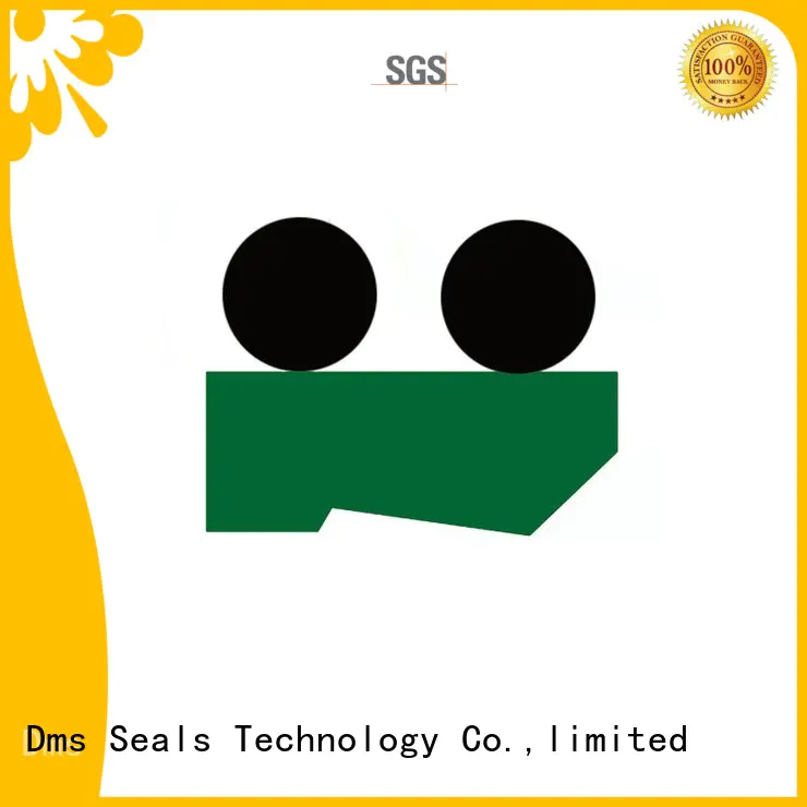 ptfepu nbrfkm scraper seals seal DMS Seal Manufacturer