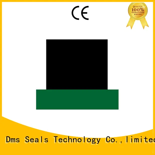 DMS Seal Manufacturer Brand nbrfkm hydraulic rod seals oring factory