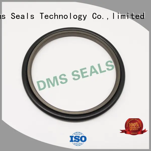 nbrfkm rod seals seal DMS Seal Manufacturer company
