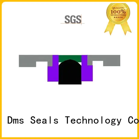 pneumatic piston seals oring ptfe seal DMS Seal Manufacturer Brand