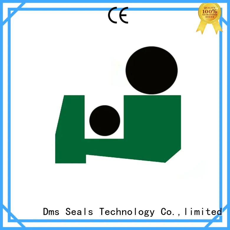 Wholesale oring hydraulic wiper seals DMS Seal Manufacturer Brand