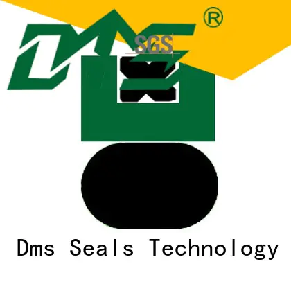 DMS Seal Manufacturer ptfe hydraulic piston seals with nbr or fkm o ring for pneumatic equipment