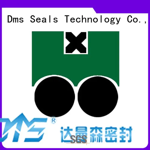nbrfkm pneumatic piston seals hydraulic oring DMS Seal Manufacturer Brand