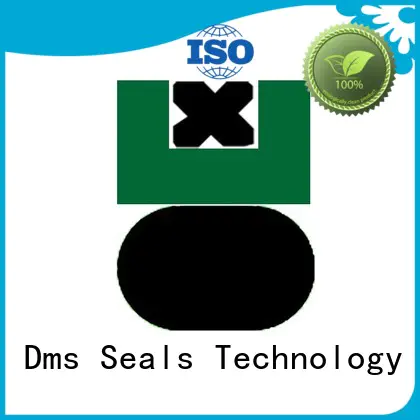 hydraulic ptfe oring pneumatic piston seals DMS Seal Manufacturer Brand