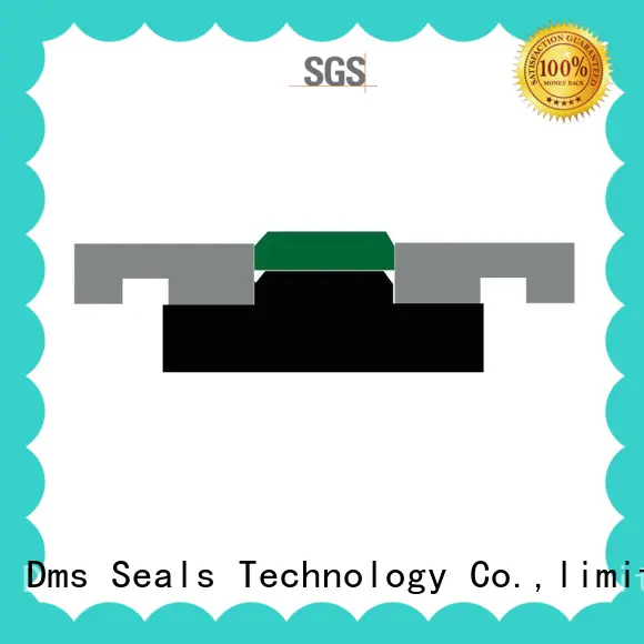 DMS Seal Manufacturer piston seals with nbr or fkm o ring for sale