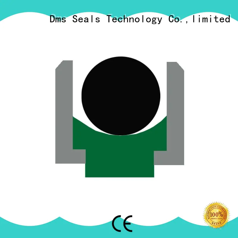 DMS Seal Manufacturer seal pneumatic rod seals rod to