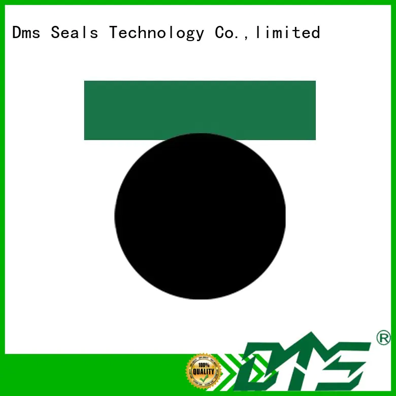 Quality DMS Seal Manufacturer Brand pneumatic piston seals oring seal