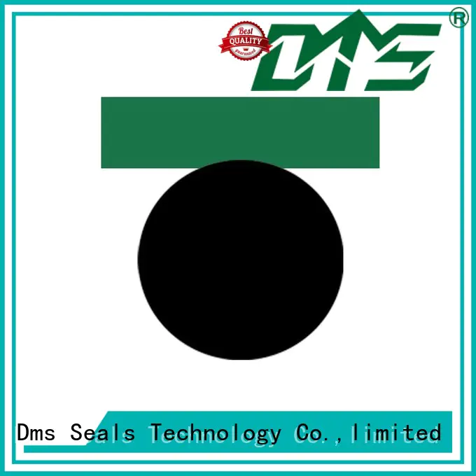 DMS Seal Manufacturer Brand hydraulic oring piston seals seal factory