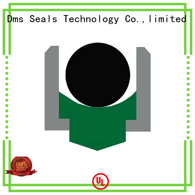 DMS Seal Manufacturer hydraulic rotary shaft seals online for automotive equipment