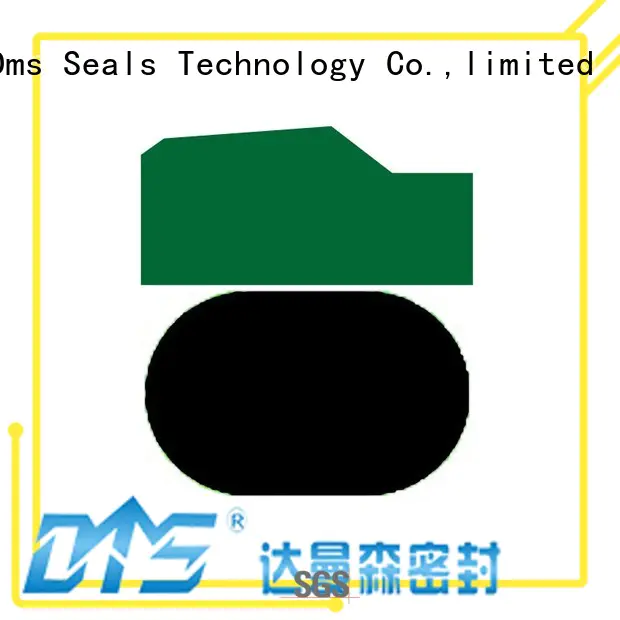 DMS Seal Manufacturer hydraulic rod seal installer manufacturer for pneumatic equipment